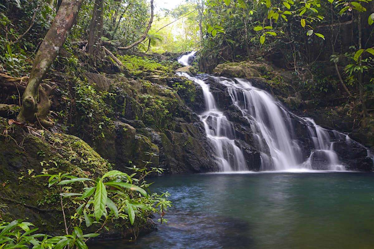 Mayflower Bocawina National Park travel | Belize - Lonely Planet