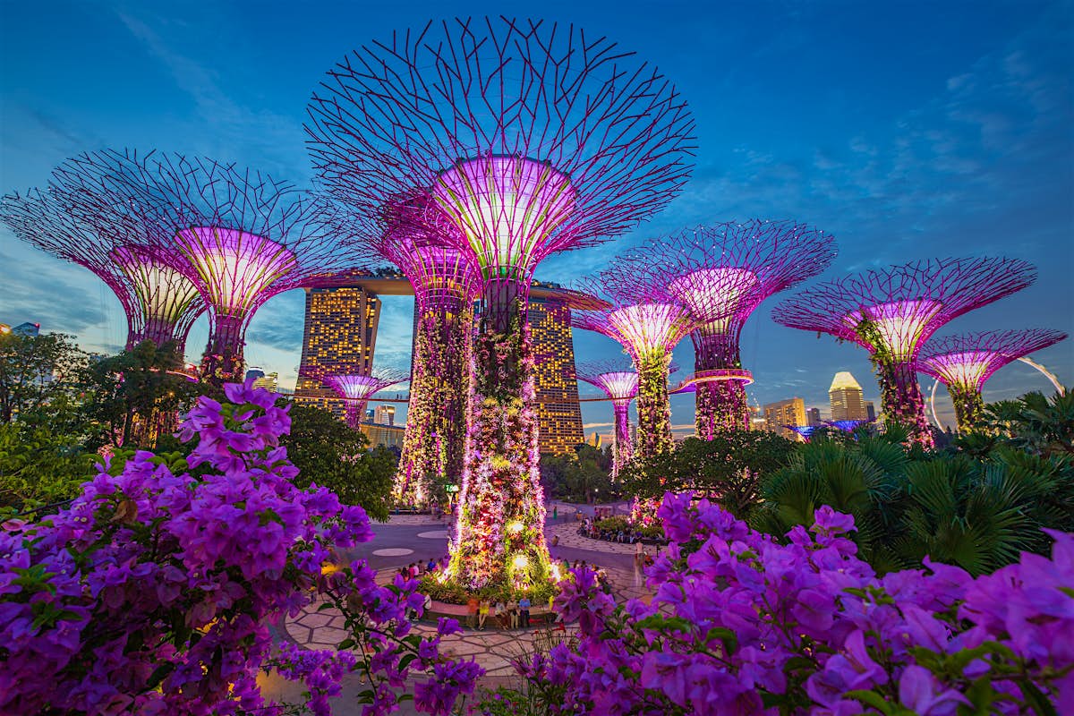 the travel planet singapore