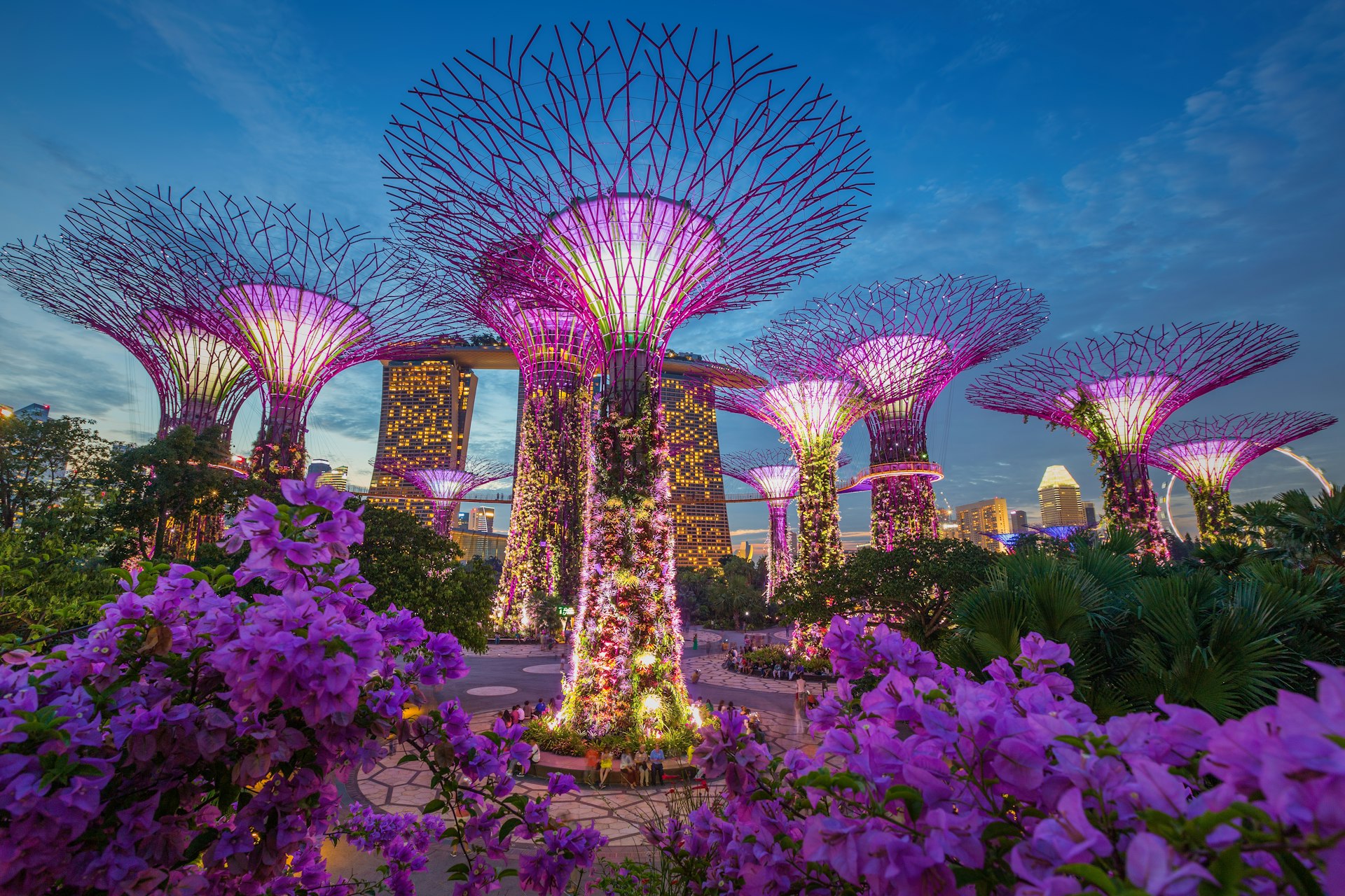 Singapore's Gardens by the Bay 