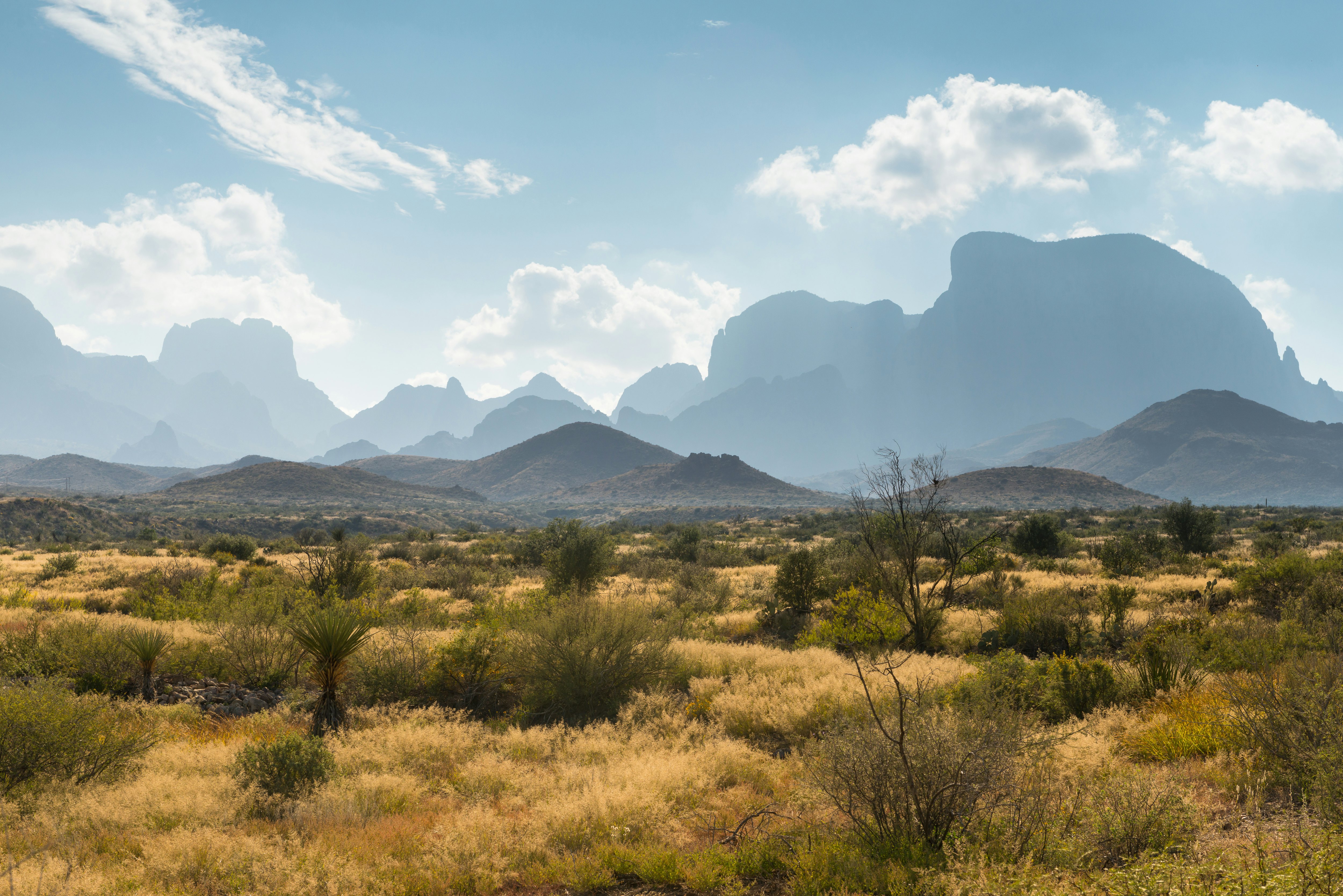 USA, Texas, Big Bend National Park, Desert landscape