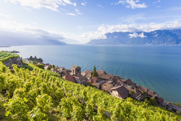 Switzerland, Lavaux, Lake Geneva, wine-growing area Saint-Saphorin