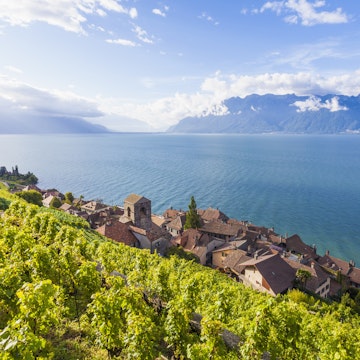 Switzerland, Lavaux, Lake Geneva, wine-growing area Saint-Saphorin