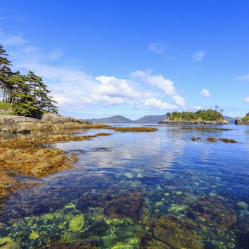 Island Life, on Sgang Gwaay, Anthony Island, a UNESCO World Heritage Site, Haida Gwaii National Park Reserve, Queen Charlotte Islands, BC, Canada