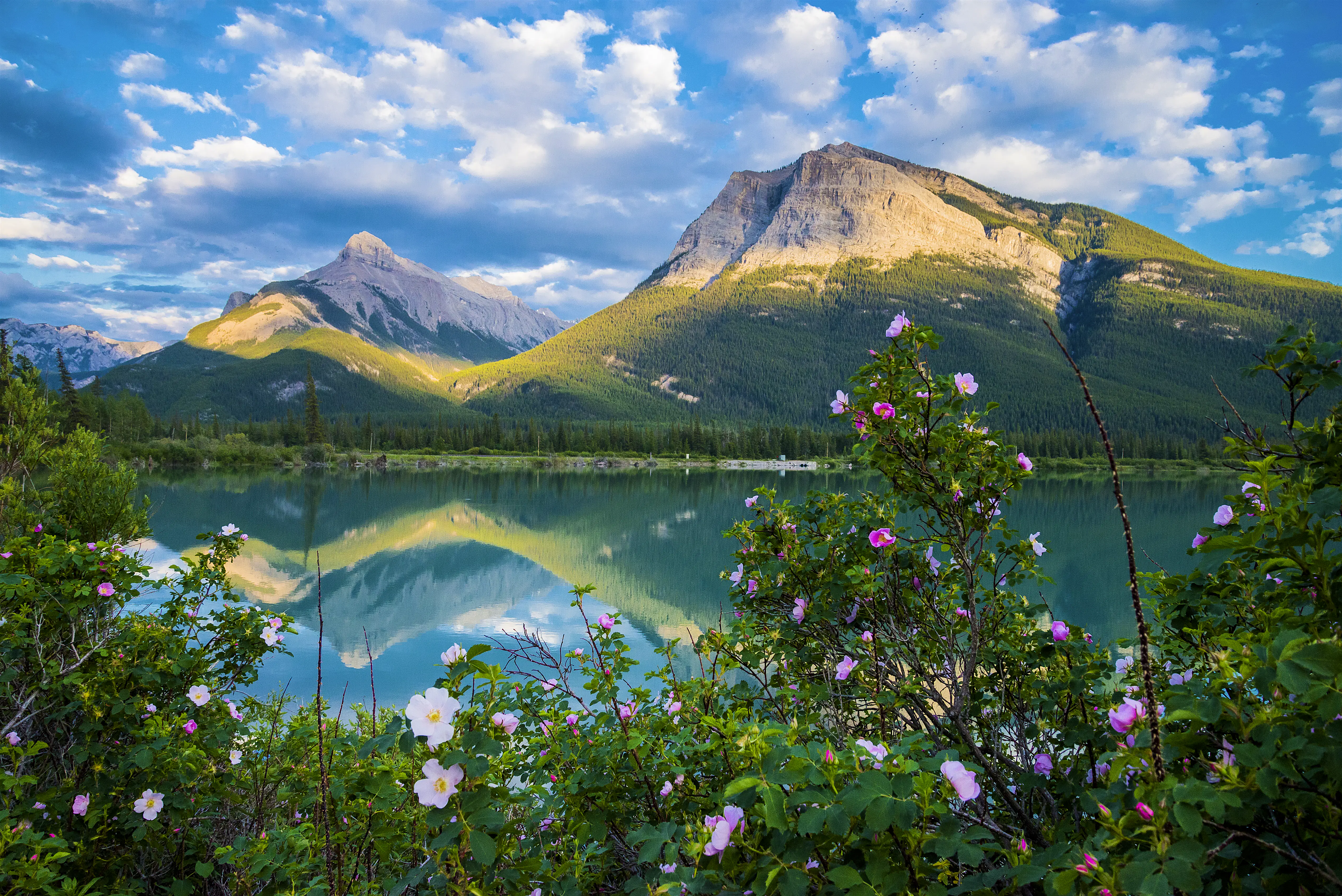 Canmore travel | Alberta, Canada - Lonely Planet