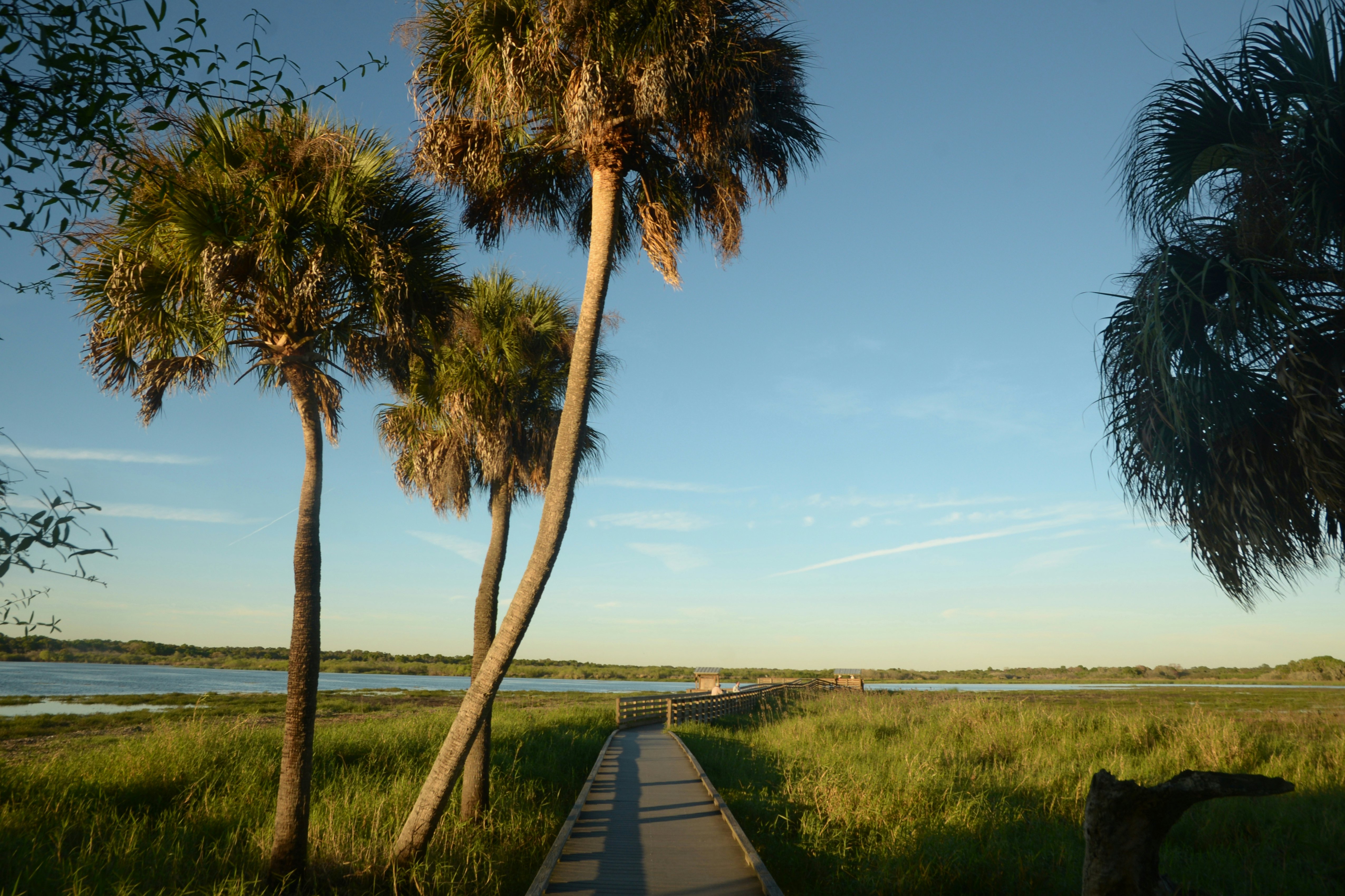 People walk on a boar walk in Myakka State Park, in Sarasota, Florida. (Photo by: Education Images/UIG via Getty Images)
