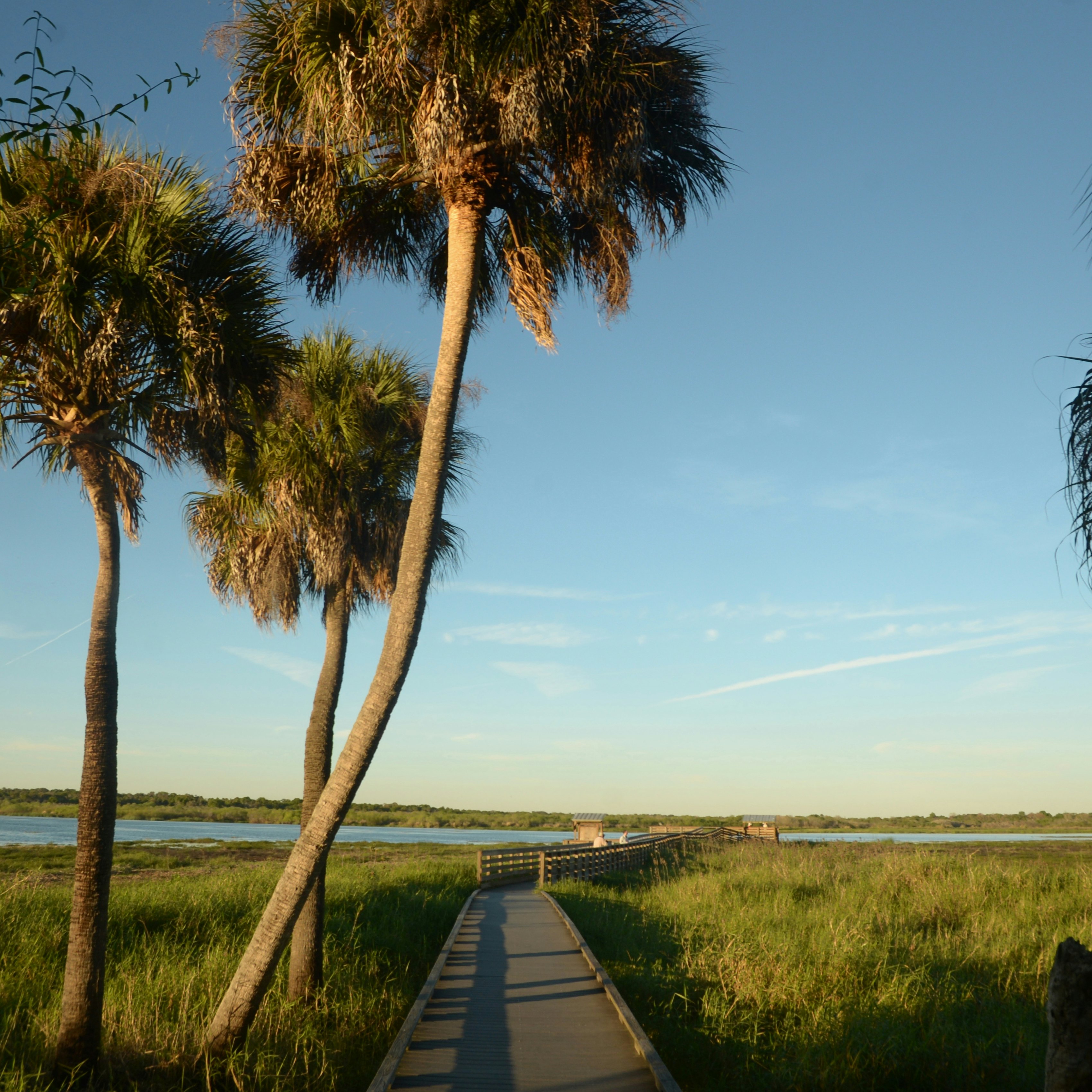 People walk on a boar walk in Myakka State Park, in Sarasota, Florida. (Photo by: Education Images/UIG via Getty Images)