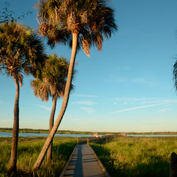 People walk on a boar walk in Myakka State Park, in Sarasota, Florida. (Photo by: Education Images/UIG via Getty Images)