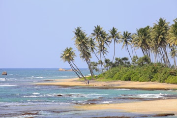 Sri Lanka, Galle, Lighthouse Hotel, Palm trees on beach