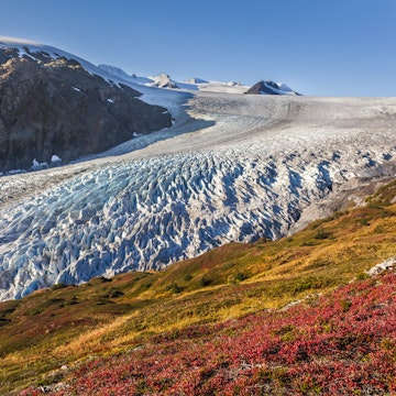 Panorama View Of Exit Glacier Flowing Out Of The Harding Ice Field, Kenai Fjords National Park, Kenai Peninsula, Southcentral Alaska