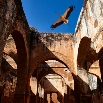 Historic Chellah Necropolis in Rabat, Morocco