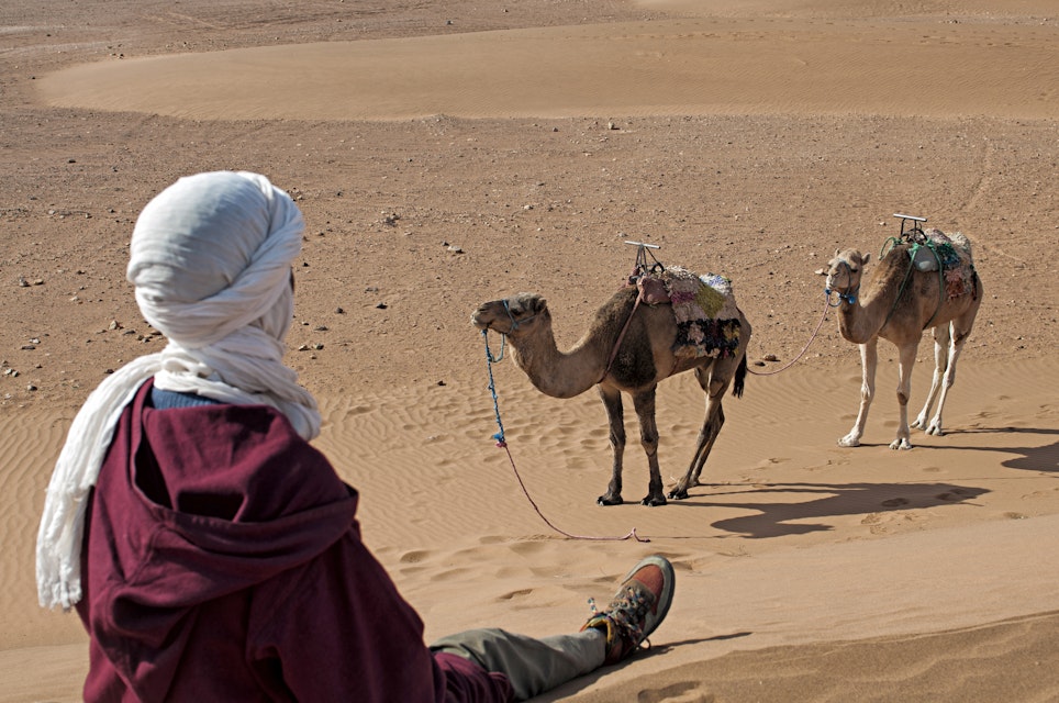 Morocco, Draa Valley, Zagora, Berber man with camels sitting on Tinfou dunes near Tamegrout