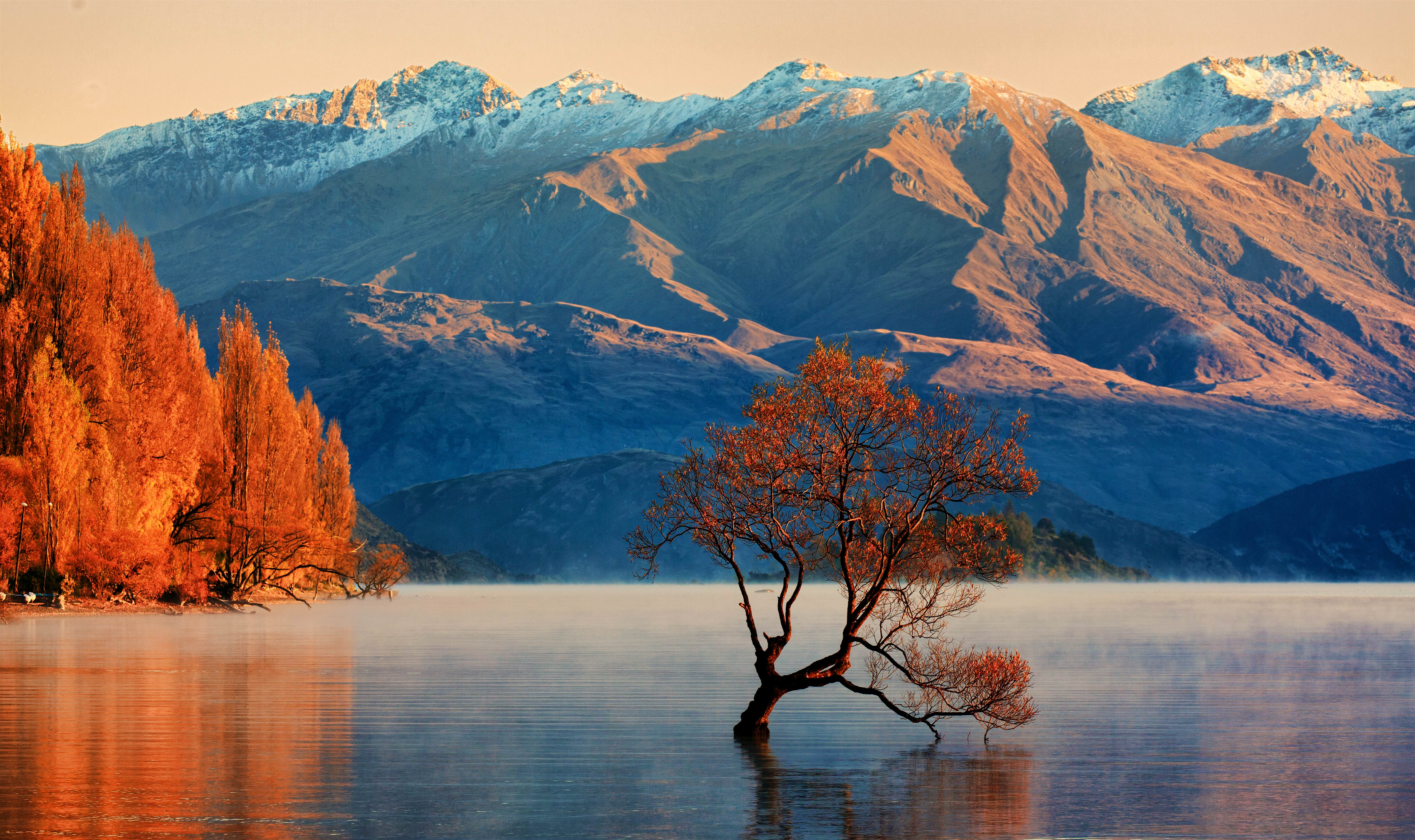 New Zealand