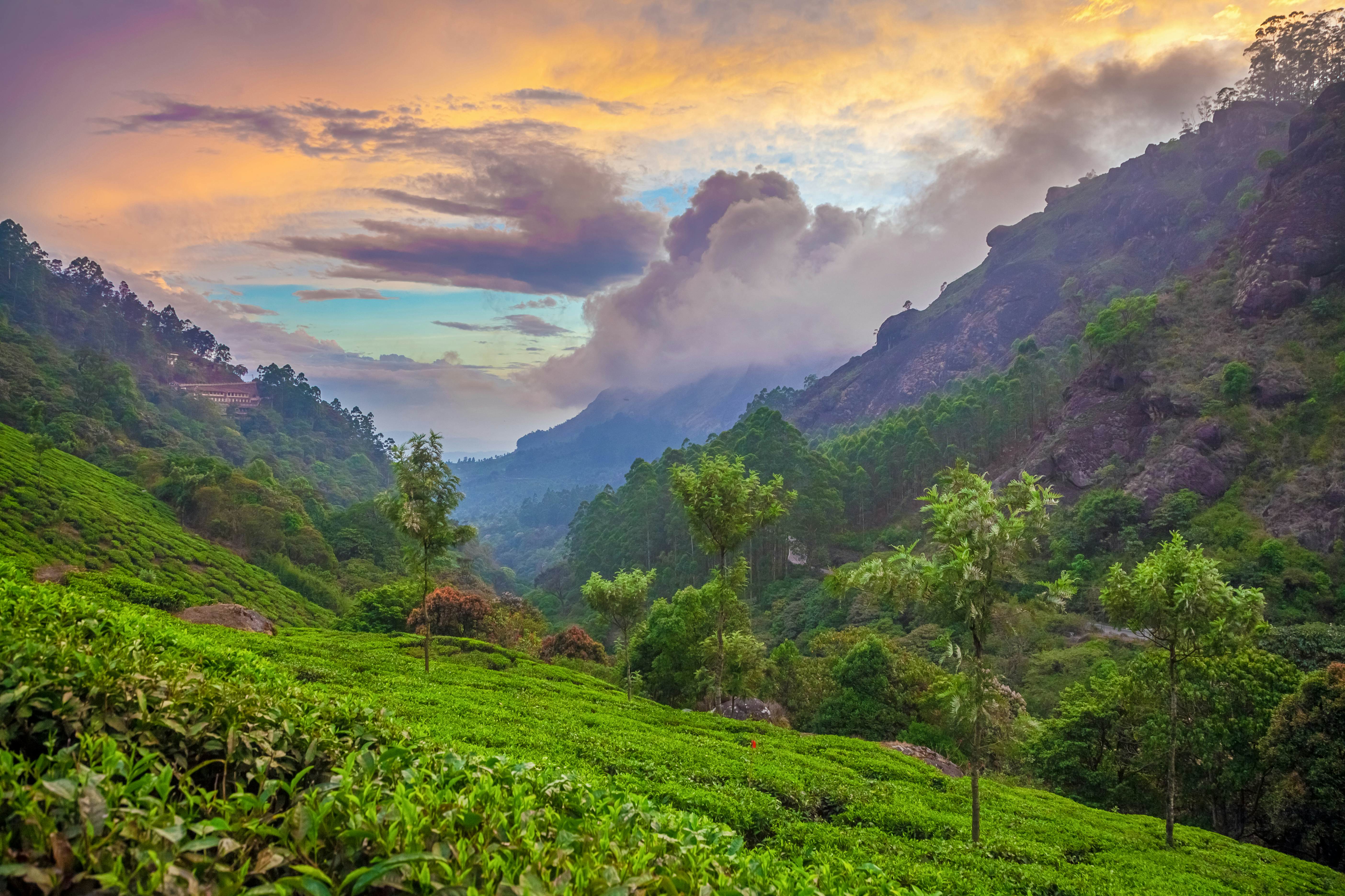 Munnar Travel Kerala India Lonely Planet   GettyImages 560611321 Full 