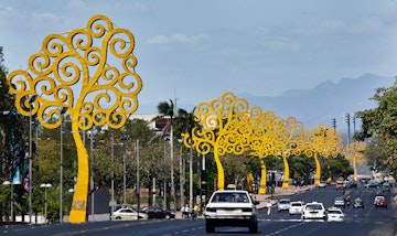 The Bolivar avenue with the trees of life