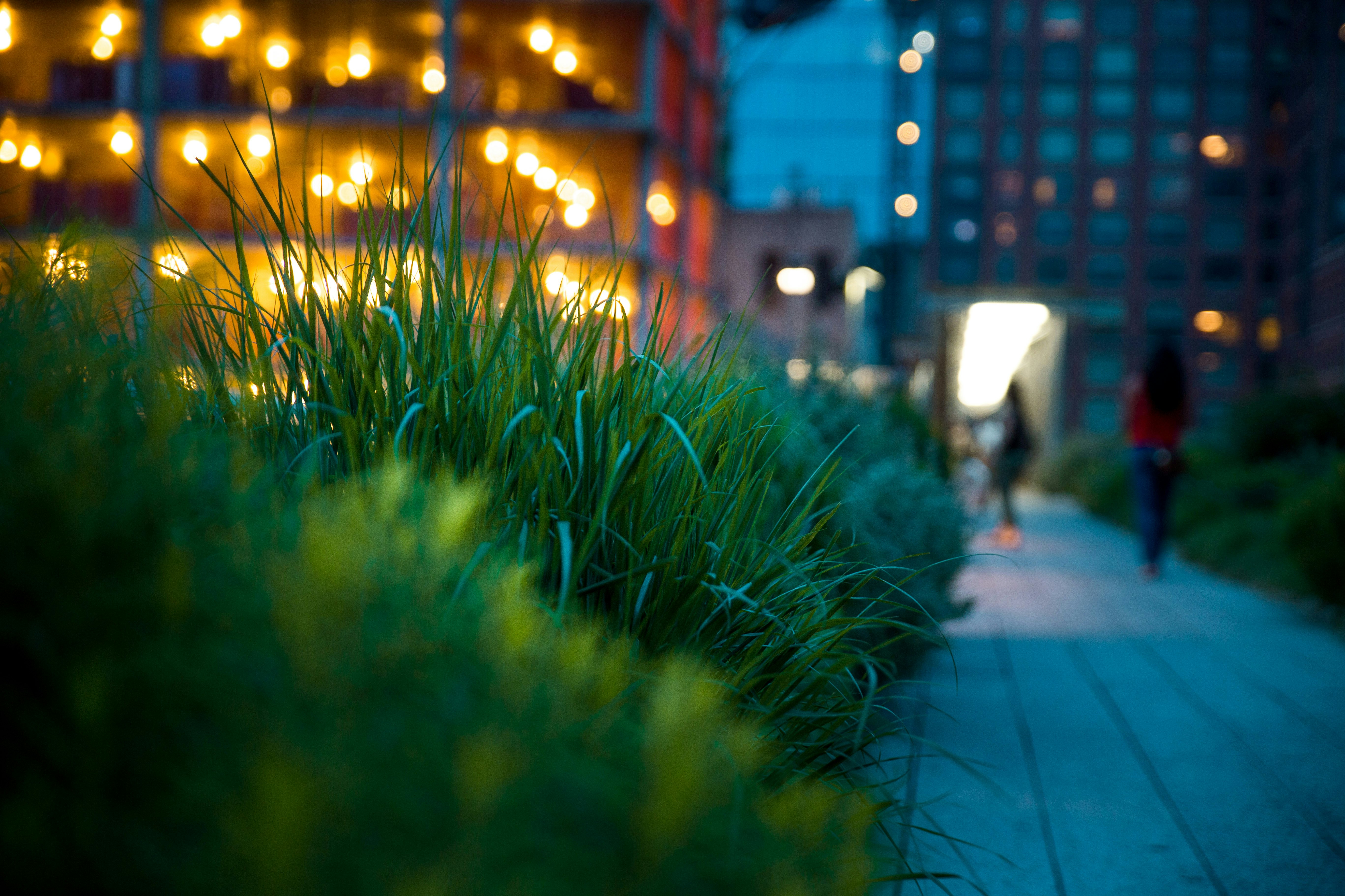 Pathway at Highline Park