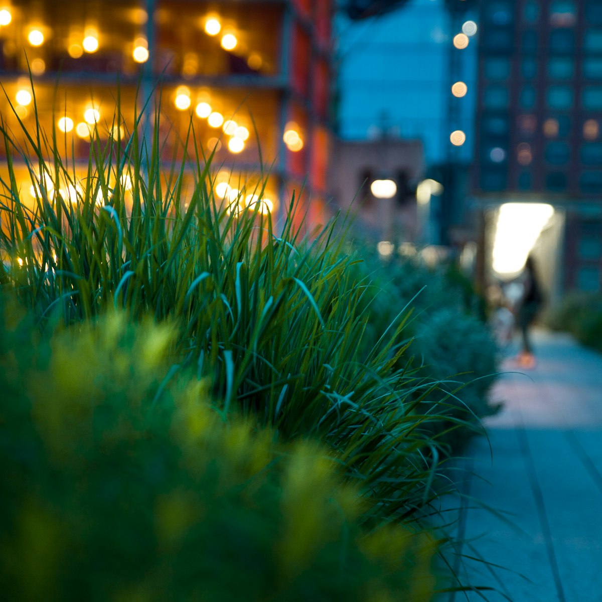 Pathway at Highline Park