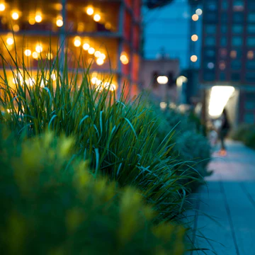 Pathway at Highline Park