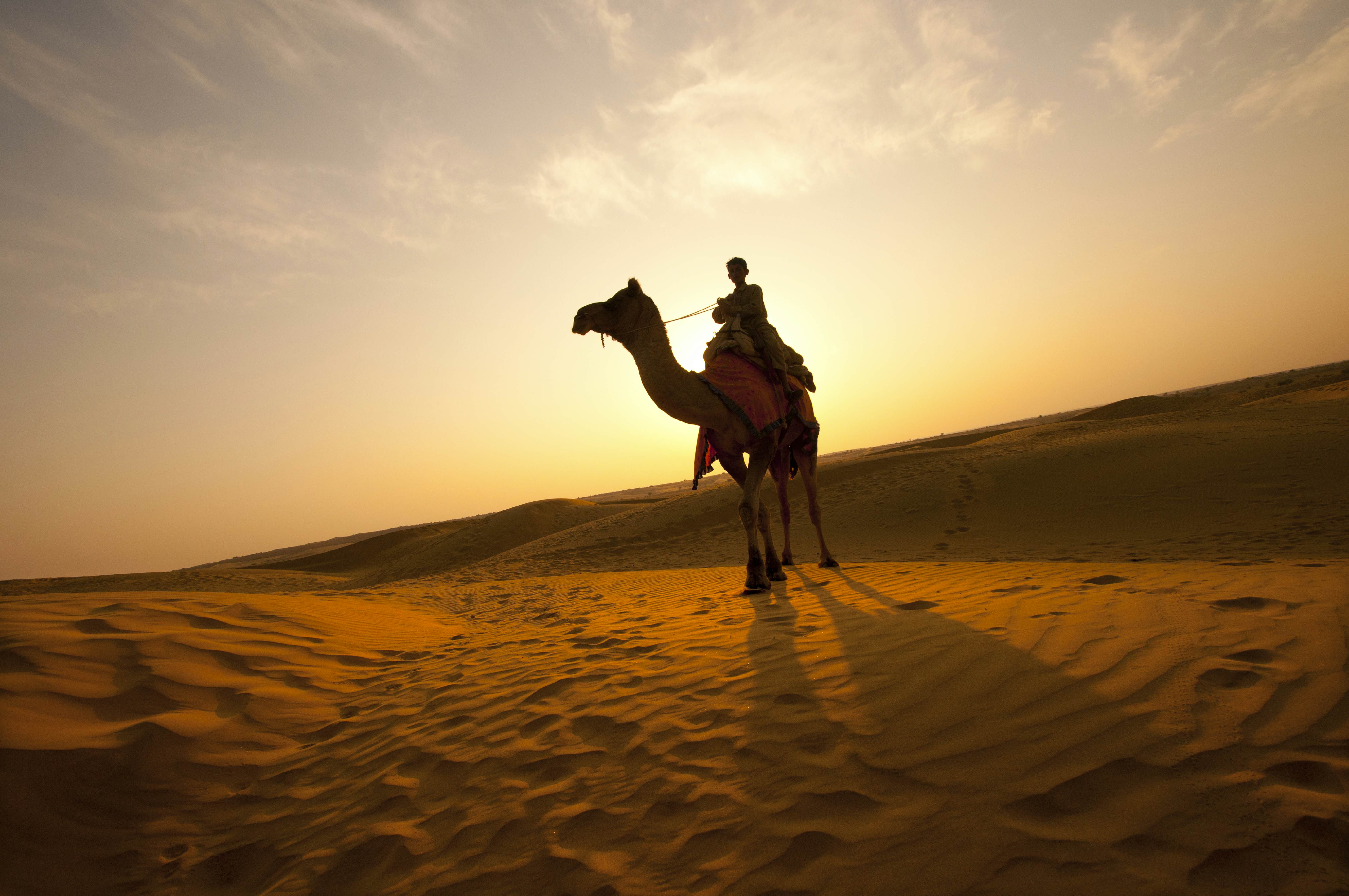 Rajasthan Travel | India - Lonely Planet