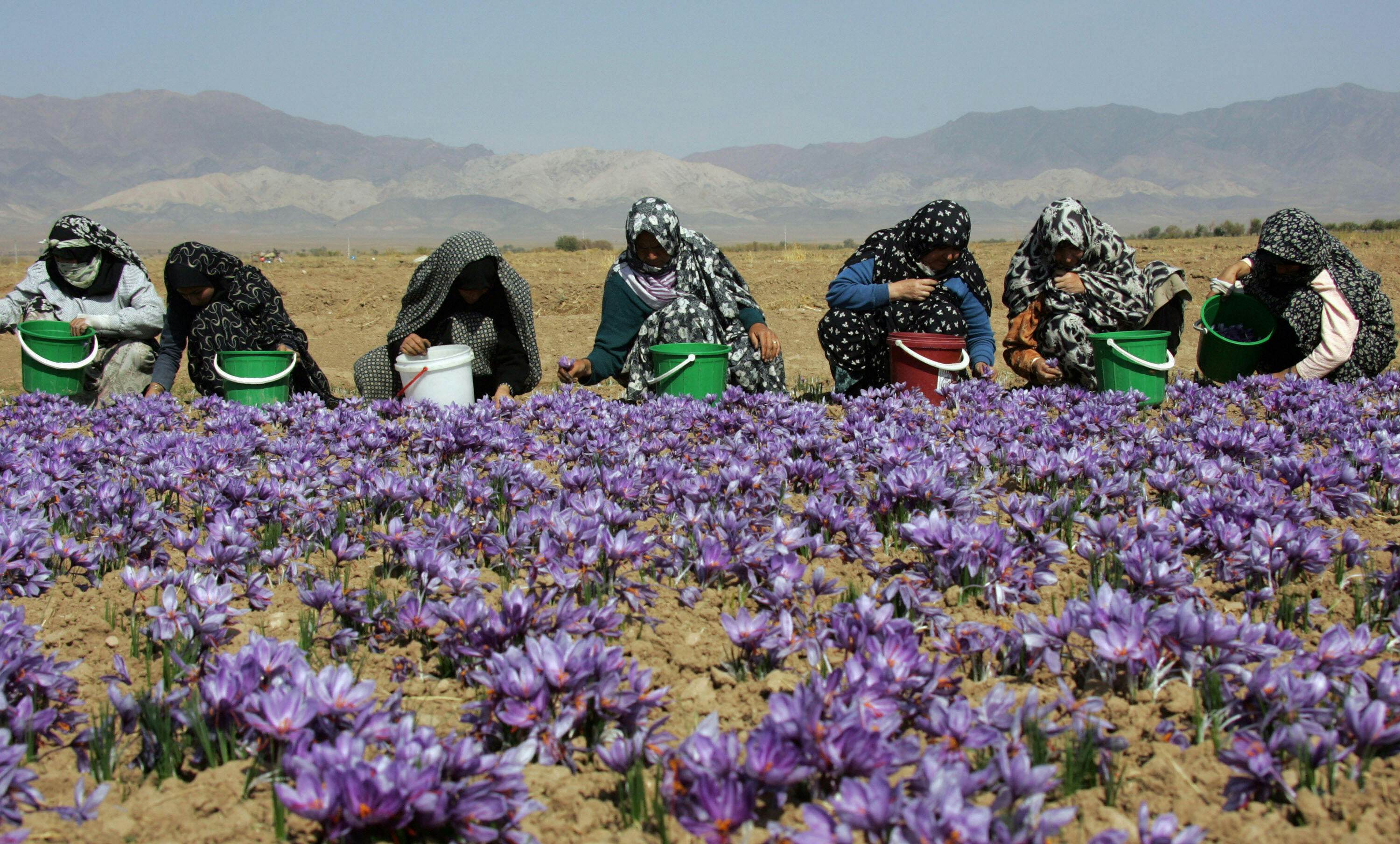 Northeastern Iran Travel Iran Lonely Planet