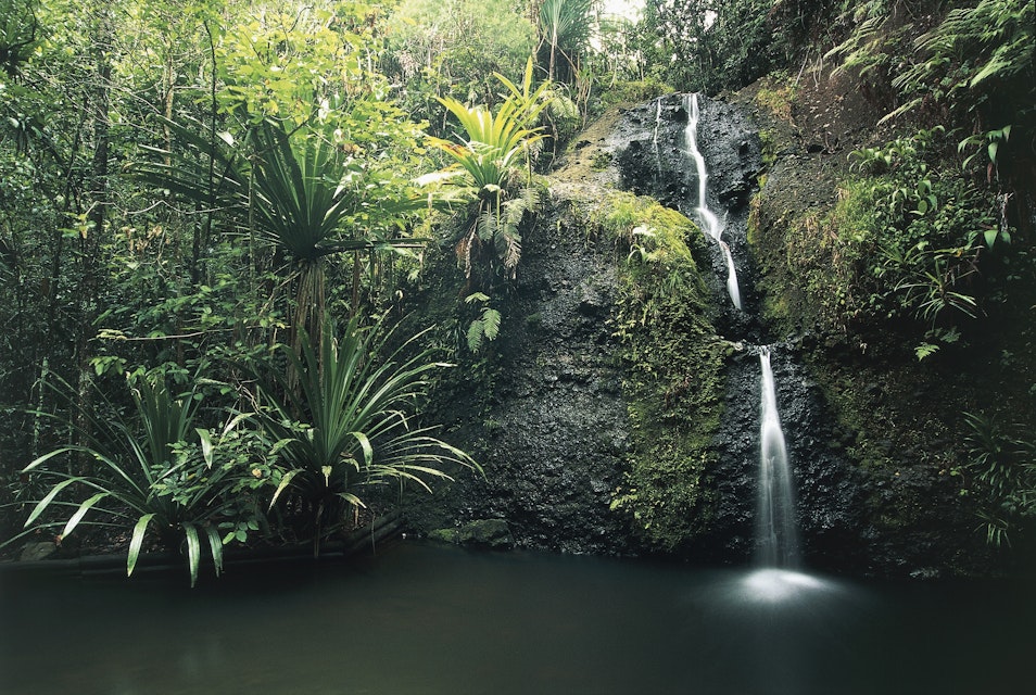 Waterfall in a park, Waisila Falls, Colo-I-Suva Forest Park, Viti Levu, Fiji
