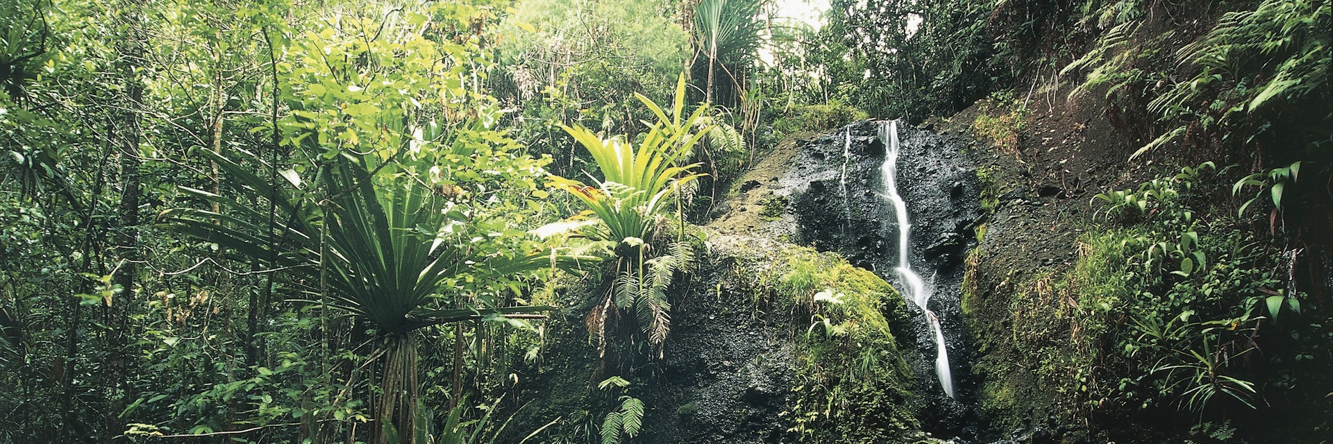 Waterfall in a park, Waisila Falls, Colo-I-Suva Forest Park, Viti Levu, Fiji