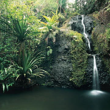 Waterfall in a park, Waisila Falls, Colo-I-Suva Forest Park, Viti Levu, Fiji