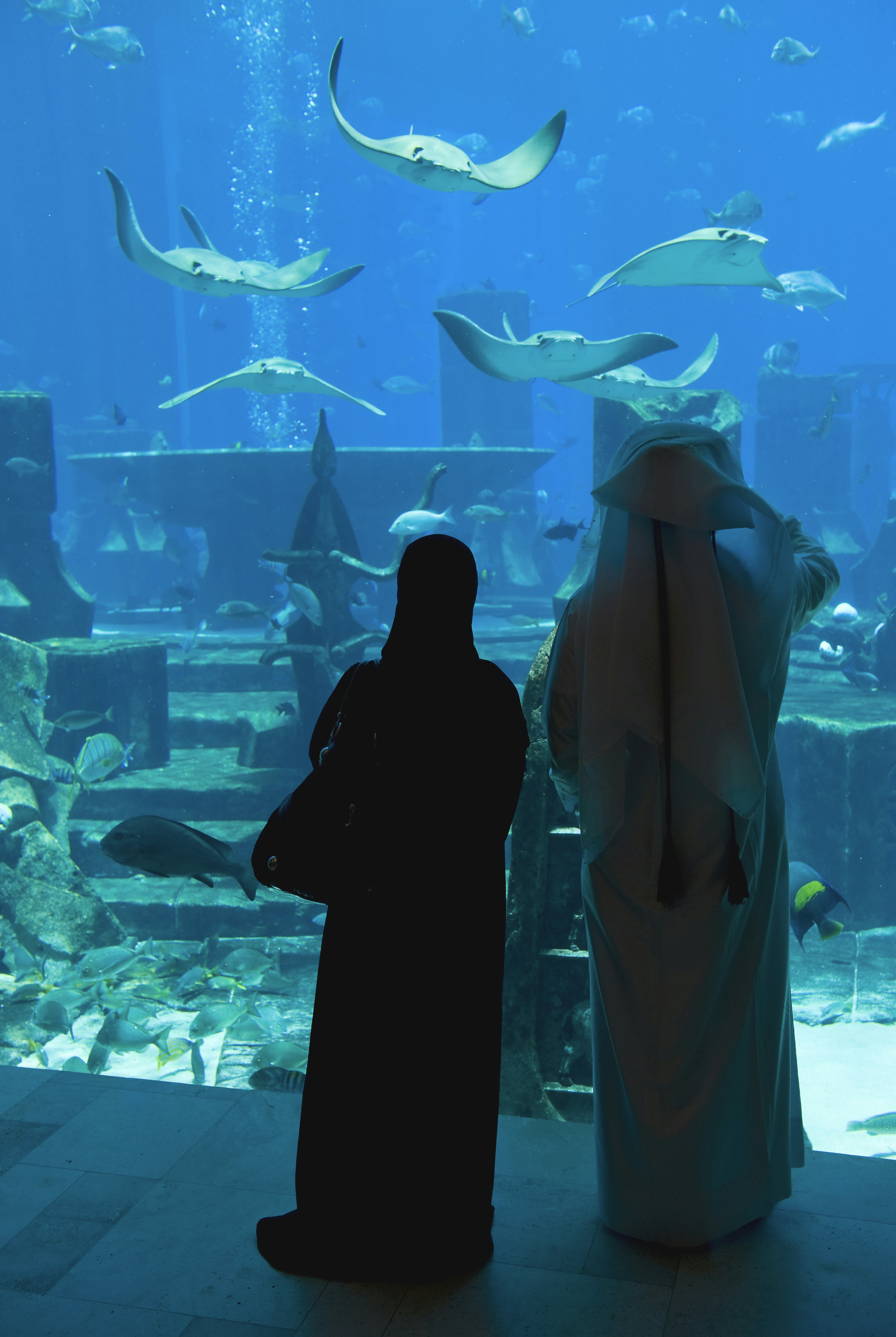 Local couple viewing marine life at Lost Chambers, Atlantis Hotel, Dubai, United Arab Emirates