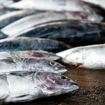Fish for sale at a road side stall.