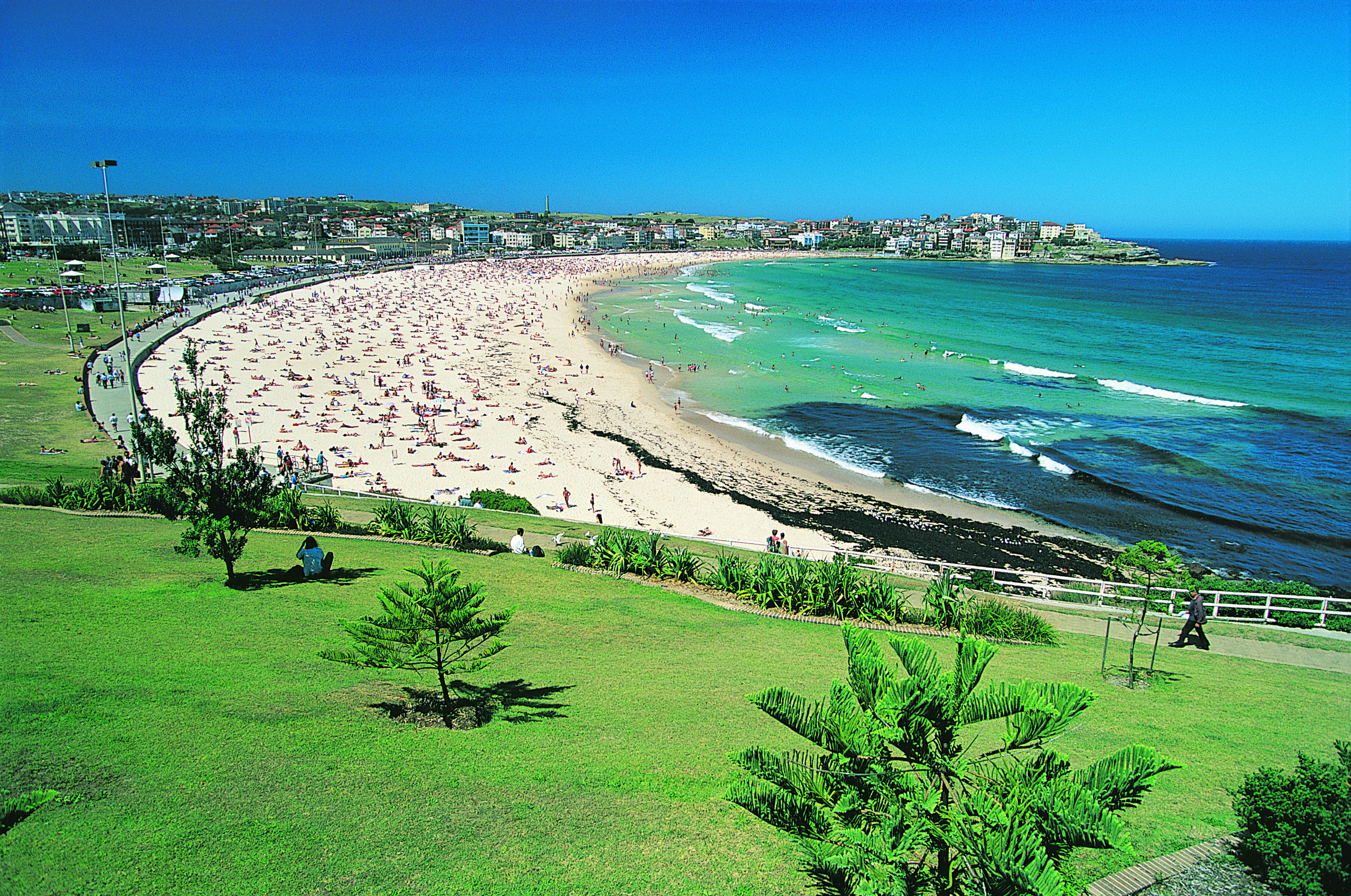 Bondi Beach Sydney Australia Attractions Lonely Planet