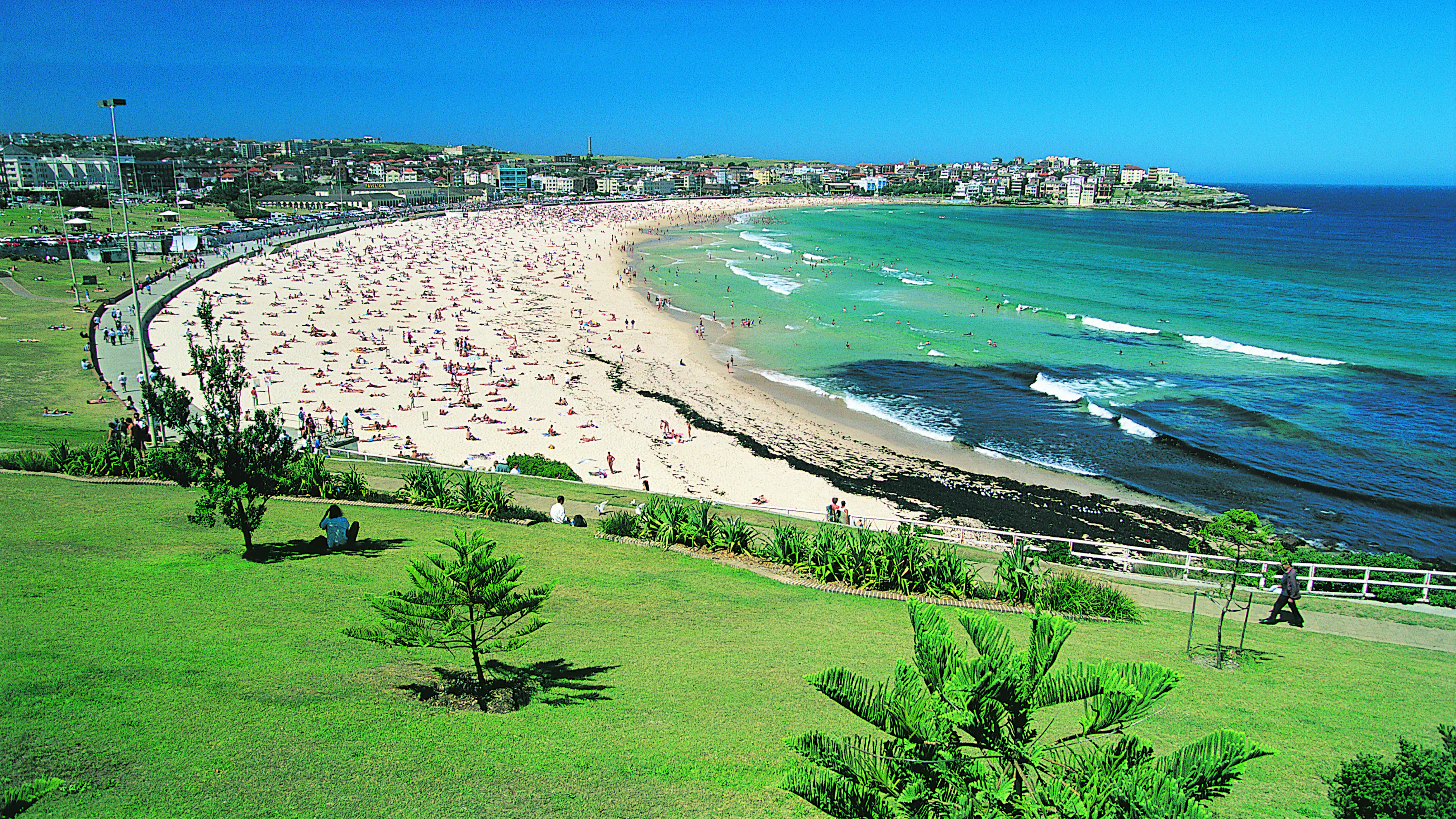Bondi Beach | Sydney, Australia | Sights - Lonely Planet
