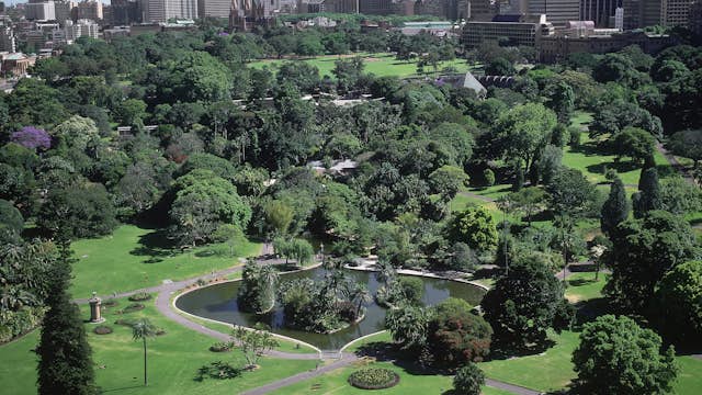 aerial view of royal botanic gardens, sydney