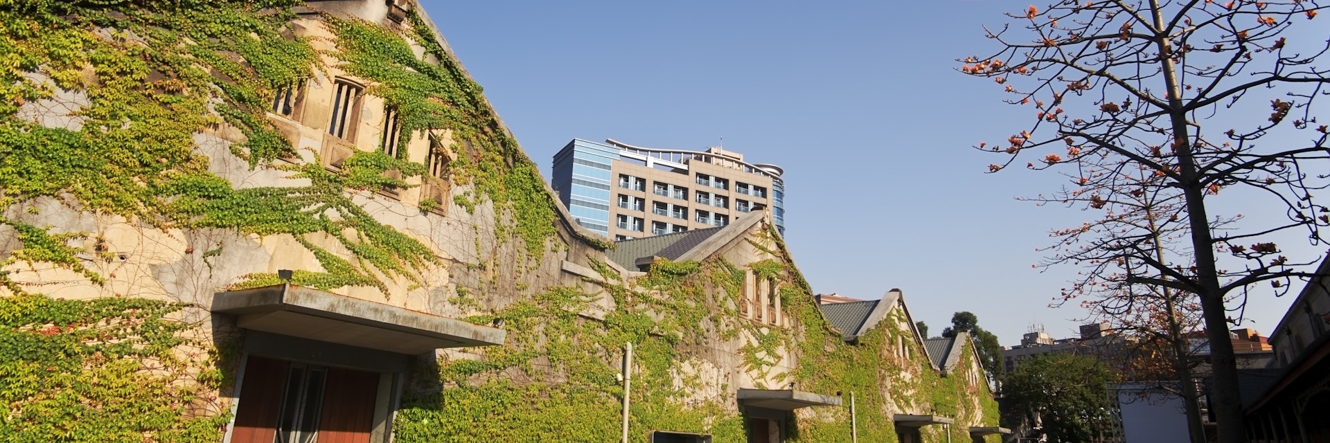 City street with green house with ivies under blue sky in daytime in Huashan Creative Park, Taipei, Taiwan, Asia.; Shutterstock ID 78818179; Your name (First / Last): Josh Vogel; GL account no.: 56530; Netsuite department name: Online Design; Full Product or Project name including edition: Digital Content/Sights