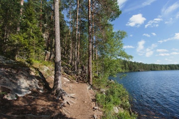 National Park Repovesi, Finland, summer sunny day; Shutterstock ID 455043121; Your name (First / Last): Gemma Graham; GL account no.: 65050; Netsuite department name: Online Editorial; Full Product or Project name including edition: Finland Destination Pages for BiT