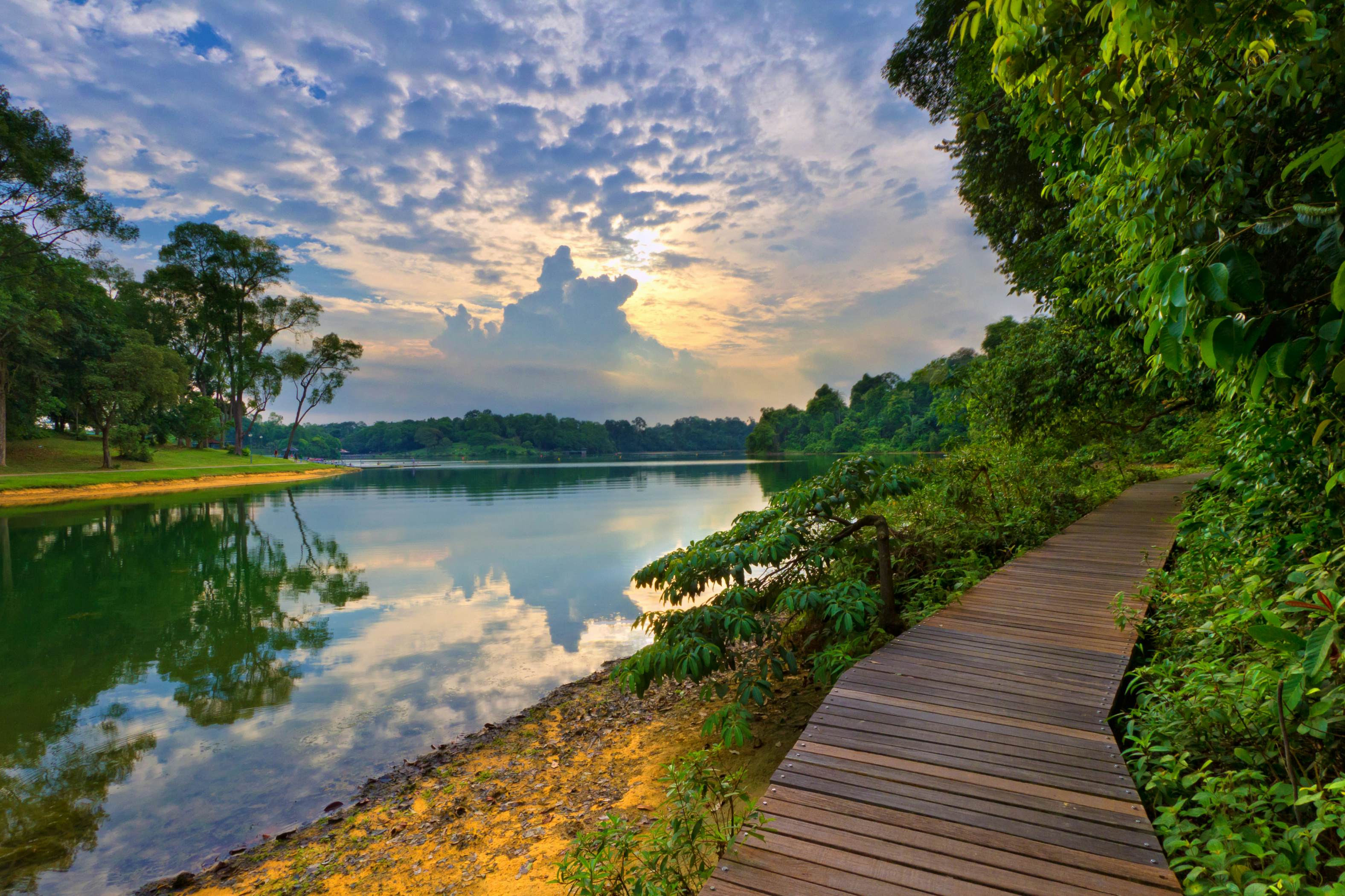 MacRitchie Reservoir Singapore Sights Lonely Planet   A2aa48e66952bf8816898991072e32f5 Macritchie Reservoir 