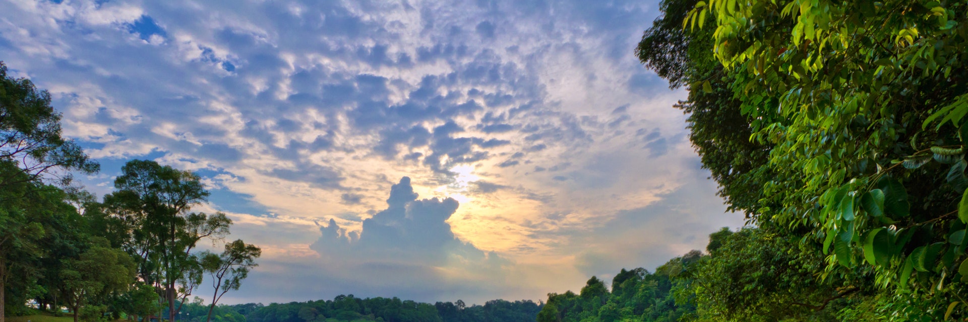 MacRitchie Reservoir Park, Singapore