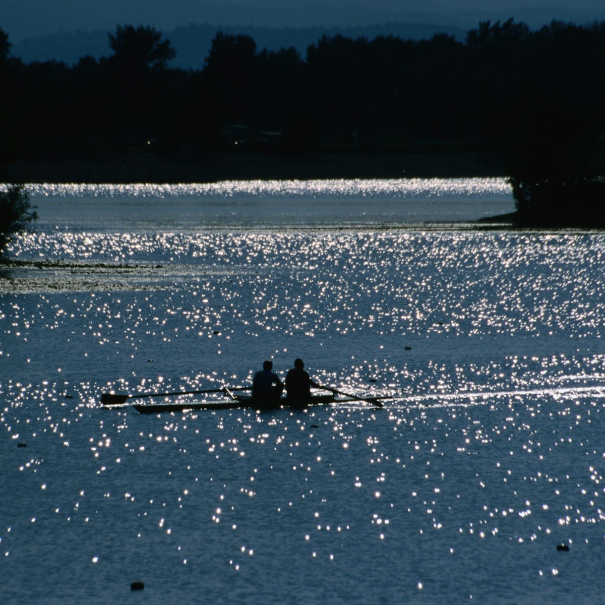 Two rowers propelling their craft through the sun-dappled waters of Jarun Lake.