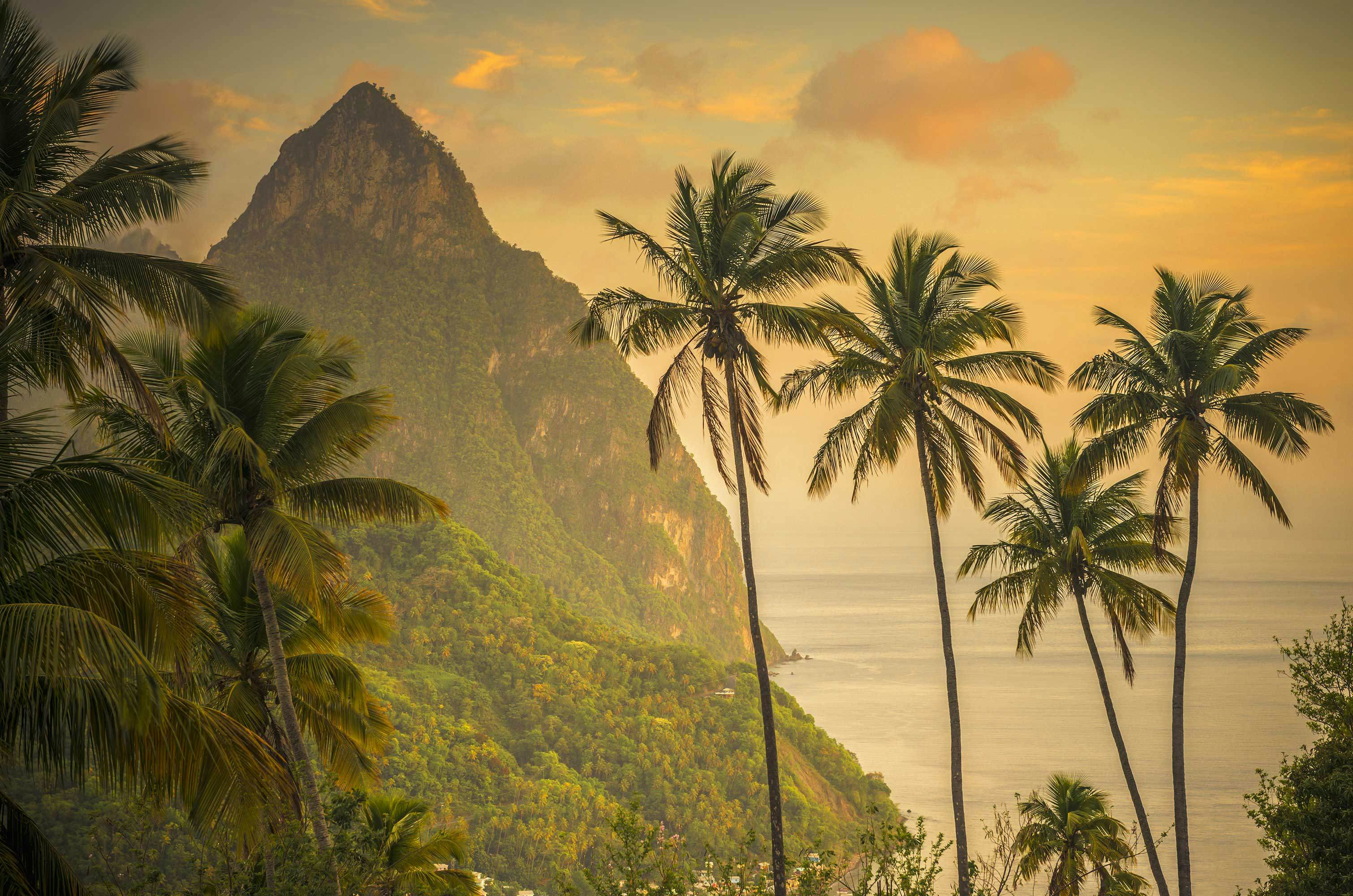 Caribbean is peaks and swaying palms