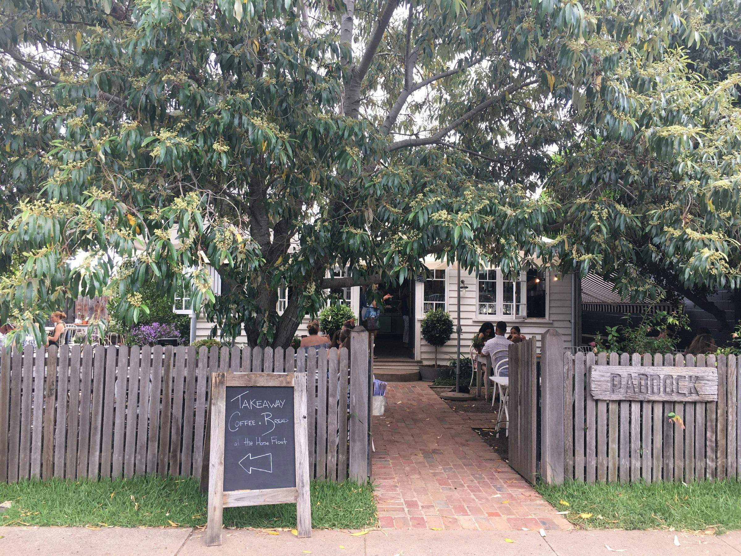 Best restaurants Gold Coast, Queensland Lonely