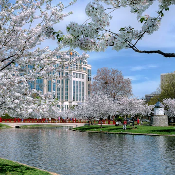 This is Big Spring Park in Huntsville, Alabama during the spring time.