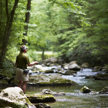 An angler fishing beside stream in Great Smoky Mountains National Park.