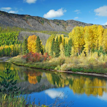 Lake McDonald Valley