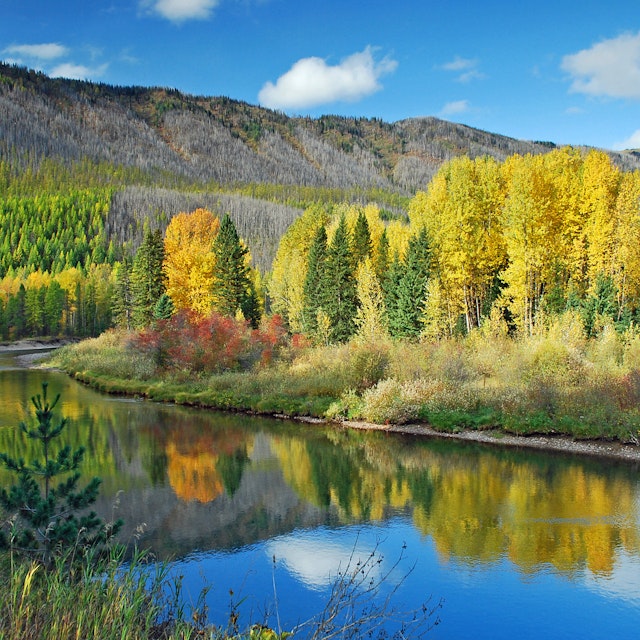 Lake McDonald Valley