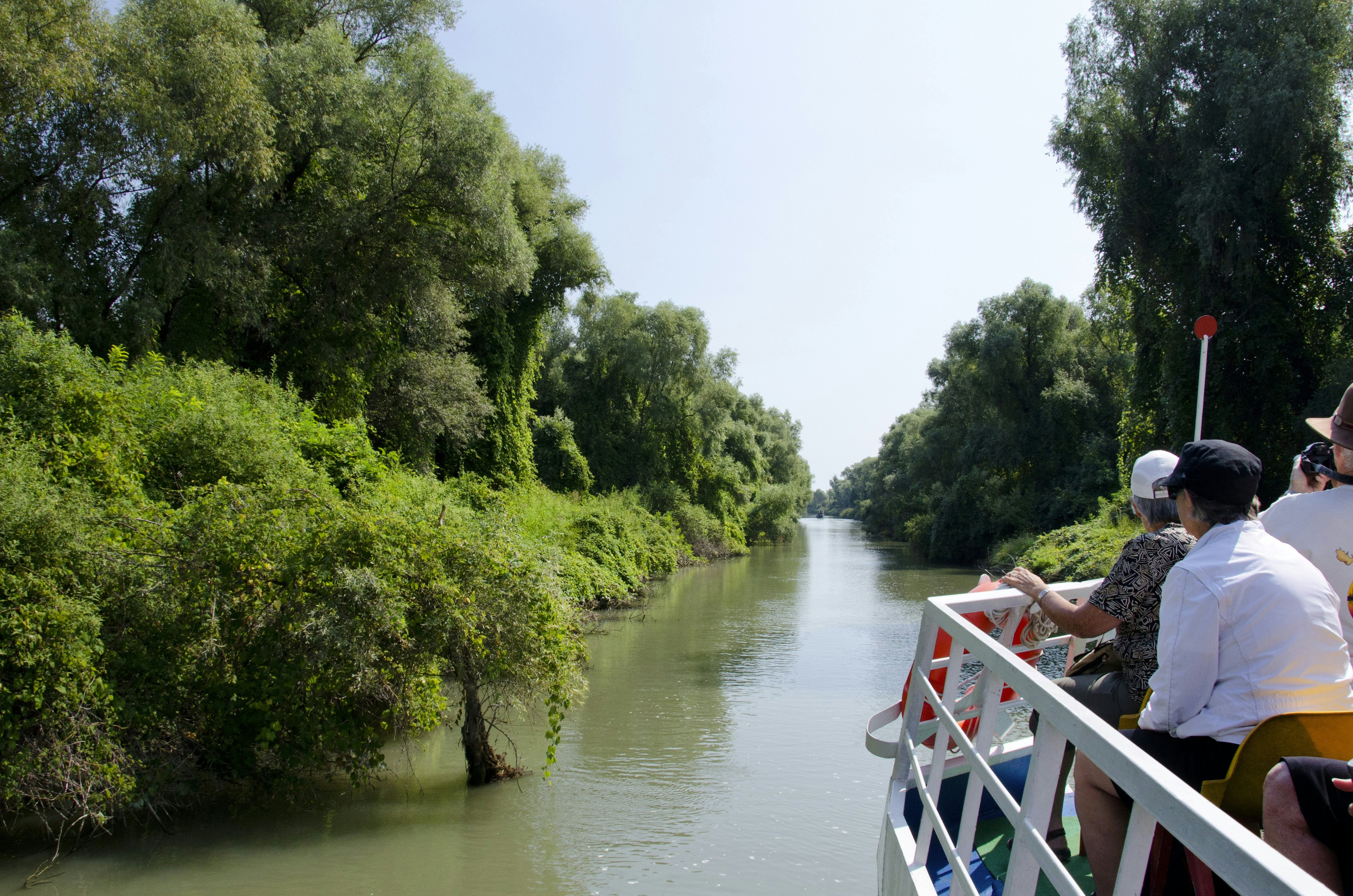 Sight seeing tour boat on Sulina channel lined with silver willow trees, Tulcea, Danube Delta, Dobrudgea region, Romania