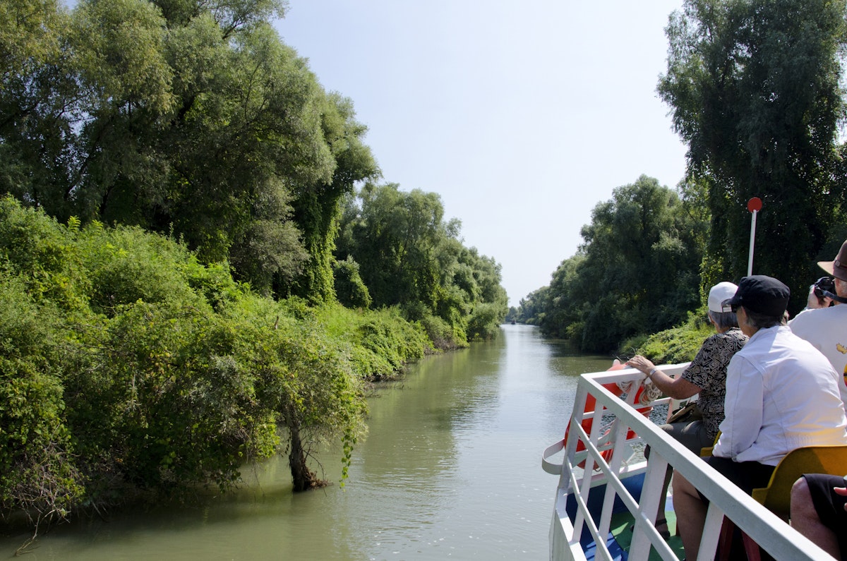 Sight seeing tour boat on Sulina channel lined with silver willow trees, Tulcea, Danube Delta, Dobrudgea region, Romania