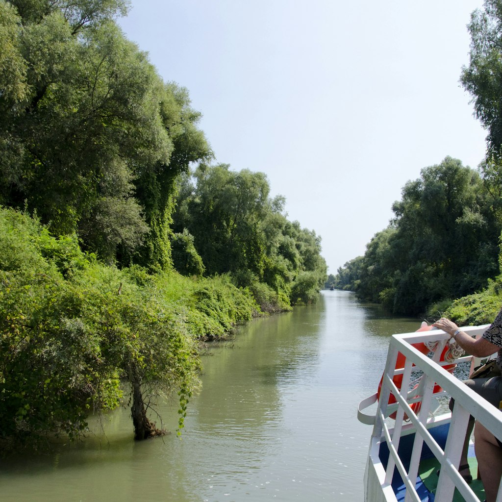 Sight seeing tour boat on Sulina channel lined with silver willow trees, Tulcea, Danube Delta, Dobrudgea region, Romania