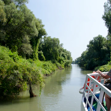 Sight seeing tour boat on Sulina channel lined with silver willow trees, Tulcea, Danube Delta, Dobrudgea region, Romania