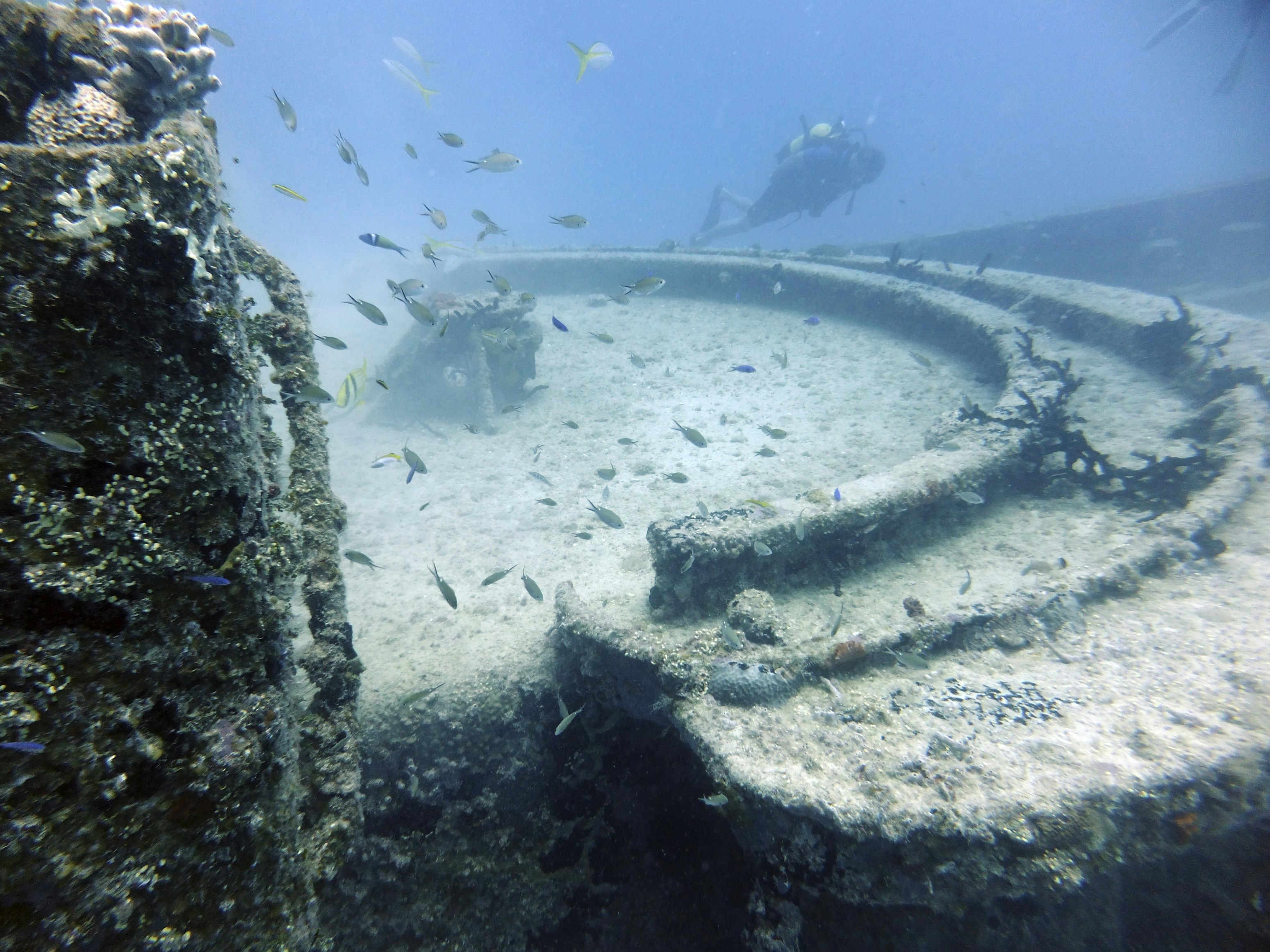 Wreck Diving
