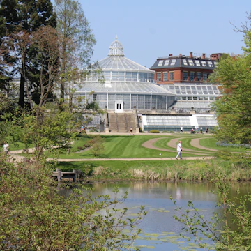 Palmehus and surroundings