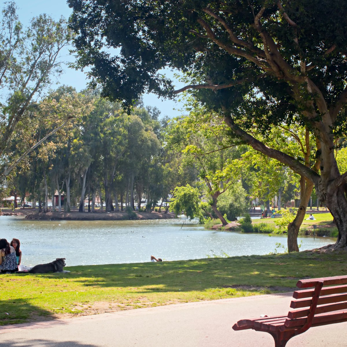 TEL AVIV, ISRAEL - May 6 2016: Lake, bench, girls with dog, and relax in Yarkon Park; Shutterstock ID 698891233; Your name (First / Last): Lauren Keith; GL account no.: 65050; Netsuite department name: Online Editorial; Full Product or Project name including edition: Tel Aviv Online Update