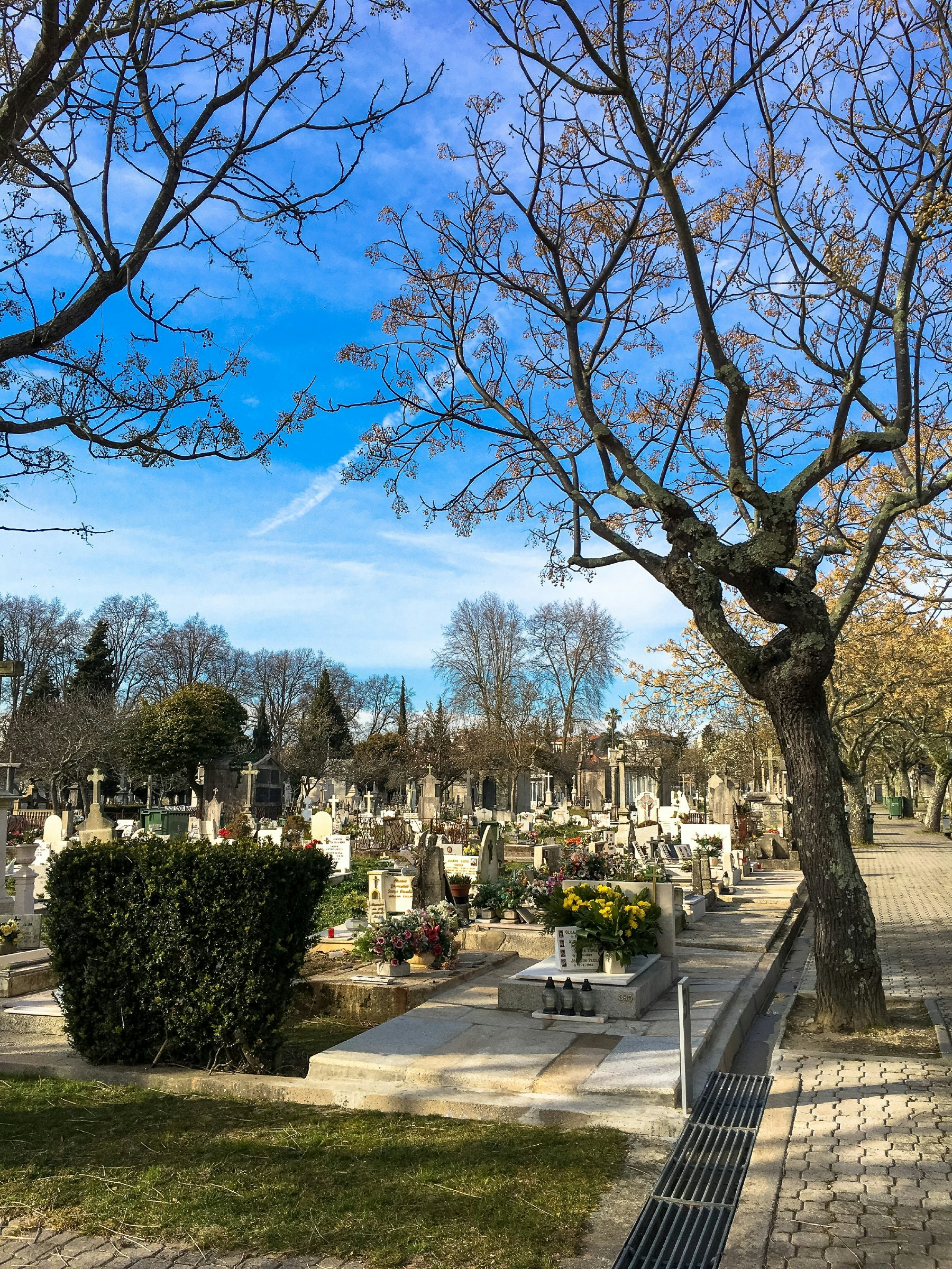 Cemitério do Prado do Repouso